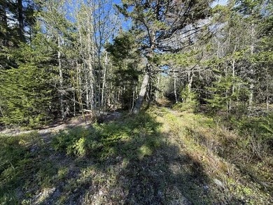 This perfectly situated 2+ acre lot couldn't be in a sweeter - photo 10