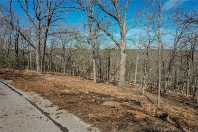 Lake of the Ozarks Lot For Sale in Camdenton Missouri