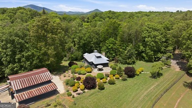 Remarkable working farm (68+/-ac) with unique and unexpected - photo 5