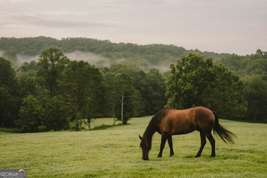 Remarkable working farm (68+/-ac) with unique and unexpected - photo 10