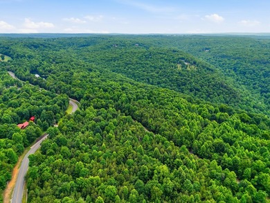 INVESTMENT GEM! Located in the Fredonia Mountain Nature Resort - photo 11