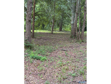 Two prime lots with water access to beautiful Weiss Lake! These - photo 11