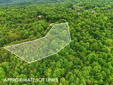 INVESTMENT GEM! Located in the Fredonia Mountain Nature Resort - photo 12