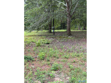 Two prime lots with water access to beautiful Weiss Lake! These - photo 12