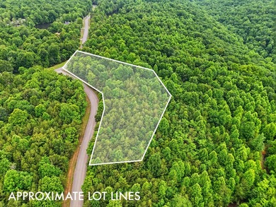 INVESTMENT GEM! Located in the Fredonia Mountain Nature Resort - photo 13