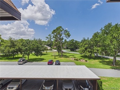 TURN-KEY & FULLY FURNISHED! Start your mornings on the screened - photo 40