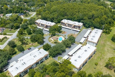 TURN-KEY & FULLY FURNISHED! Start your mornings on the screened - photo 47