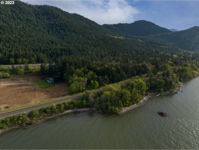 Columbia River - Hood County Home For Sale in Hoodriver Oregon