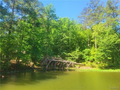 Lake Lot For Sale in Northport, Alabama