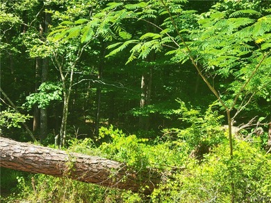 Build your dream home on this wooded lot on Lake Tuscaloosa - photo 2