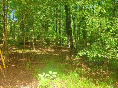 Build your dream home on this wooded lot on Lake Tuscaloosa - photo 4