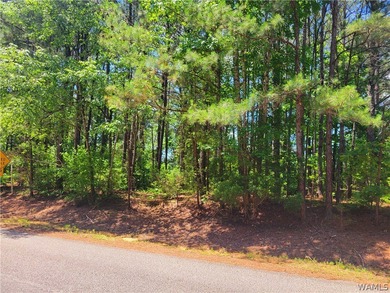 Build your dream home on this wooded lot on Lake Tuscaloosa - photo 6