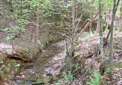 Public Remarks: Discover the possibilities with this beautiful 5 - photo 1