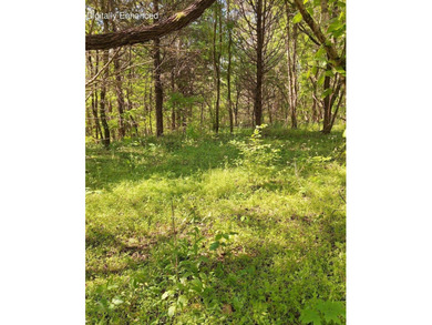 Public Remarks: Discover the possibilities with this beautiful 5 - photo 2