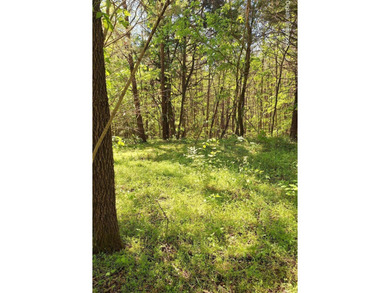 Public Remarks: Discover the possibilities with this beautiful 5 - photo 3
