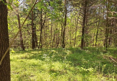 Public Remarks: Discover the possibilities with this beautiful 5 - photo 4