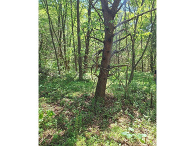 Public Remarks: Discover the possibilities with this beautiful 5 - photo 6