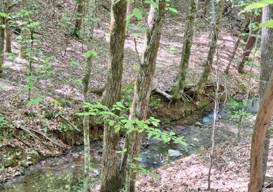 Public Remarks: Discover the possibilities with this beautiful 5 - photo 9