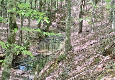 Public Remarks: Discover the possibilities with this beautiful 5 - photo 10