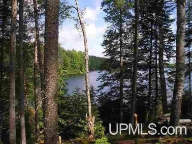 Lake Acreage For Sale in Michigamme, Michigan