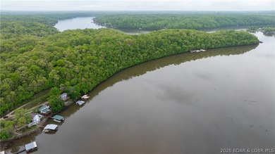Lakefront living in a wide, quiet cove on the Gravois Arm! - photo 27