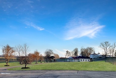 Immaculate Previous Commercial Venue! Pristine Paradise nestled - photo 29