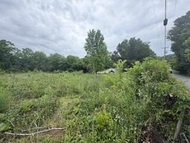 Discover the perfect opportunity with this .46-acre unrestricted - photo 1