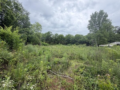 Discover the perfect opportunity with this .46-acre unrestricted - photo 2