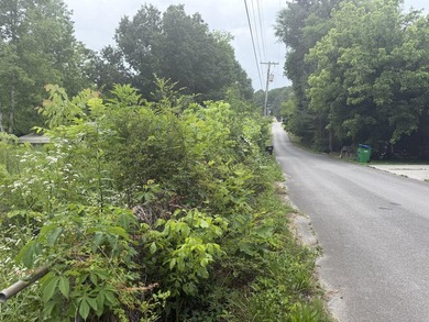 Discover the perfect opportunity with this .46-acre unrestricted - photo 3