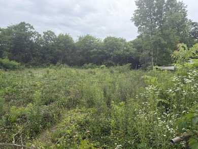 Discover the perfect opportunity with this .46-acre unrestricted - photo 4