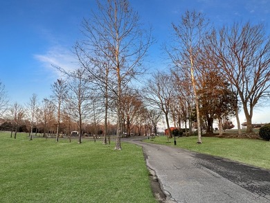 Immaculate Previous Commercial Venue! Pristine Paradise nestled - photo 34