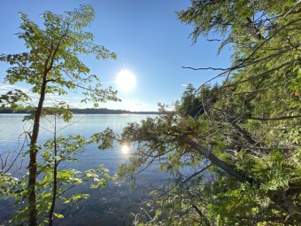 Lake Lot Off Market in Lincoln, Maine
