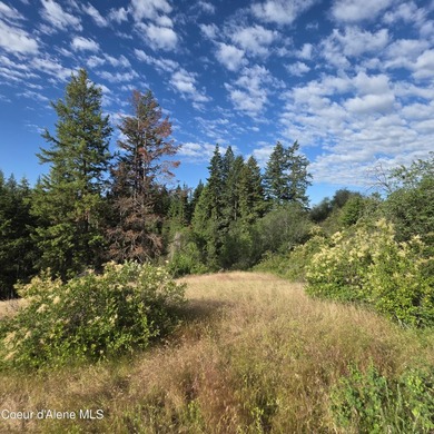 Best Value 20 Acres on Harrison Flats - No HOA or CC&RsEnjoy - photo 11