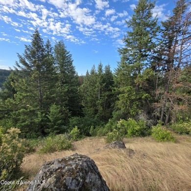 Best Value 20 Acres on Harrison Flats - No HOA or CC&RsEnjoy - photo 13