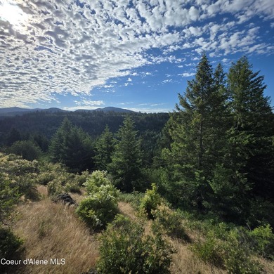 Best Value 20 Acres on Harrison Flats - No HOA or CC&RsEnjoy - photo 14