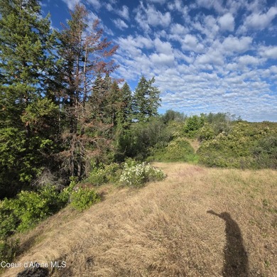Best Value 20 Acres on Harrison Flats - No HOA or CC&RsEnjoy - photo 15
