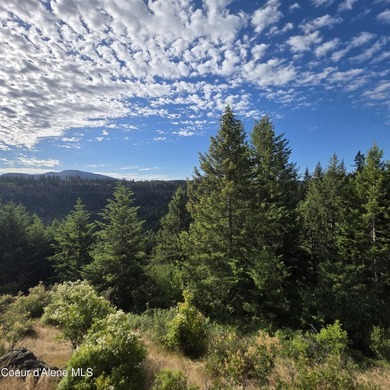 Best Value 20 Acres on Harrison Flats - No HOA or CC&RsEnjoy - photo 16