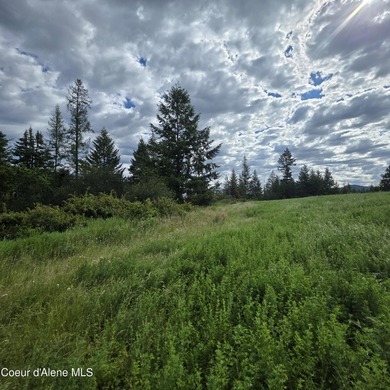 Best Value 20 Acres on Harrison Flats - No HOA or CC&RsEnjoy - photo 17