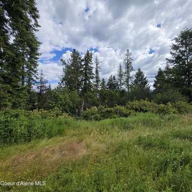 Best Value 20 Acres on Harrison Flats - No HOA or CC&RsEnjoy - photo 18