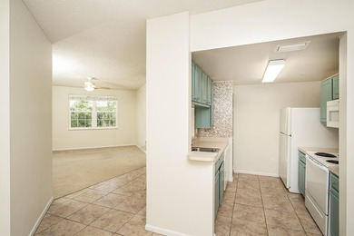 Las Palmas Luxury Condominium located in St Augustine. Enjoy - photo 8