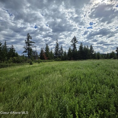 Best Value 20 Acres on Harrison Flats - No HOA or CC&RsEnjoy - photo 19