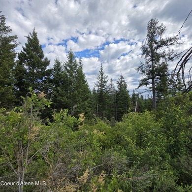 Best Value 20 Acres on Harrison Flats - No HOA or CC&RsEnjoy - photo 20