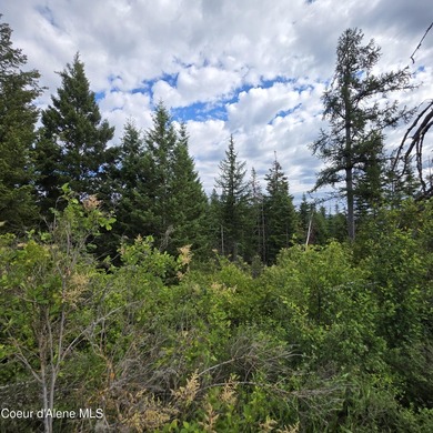 Best Value 20 Acres on Harrison Flats - No HOA or CC&RsEnjoy - photo 21