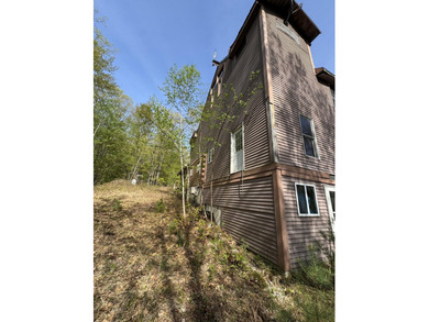 Quaint log cabin with attached incomplete 30 x 40 multi story - photo 5
