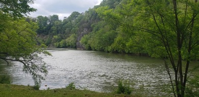 Nolichucky River Acreage For Sale in Greeneville Tennessee