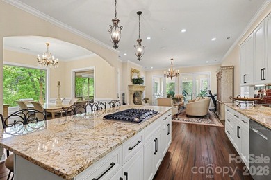 Priced Below Appraised Value.Welcome to luxury waterfront living - photo 5