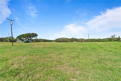 Prime, corner homesite with Majestic Oak - Minutes from Downtown - photo 2