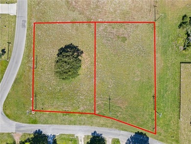 Prime, corner homesite with Majestic Oak - Minutes from Downtown - photo 9