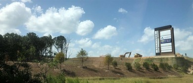 +/-18.24acres Assemblage of 3 parcels for sale (Same Owner) - photo 20