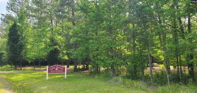This Lovely acre Lot Located in Lake Murray Estates is on a - Lake Lot For Sale in Batesburg, South Carolina